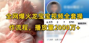 全网爆火龙宝宝视频全套操作流程,播放量2000万+-风淘社