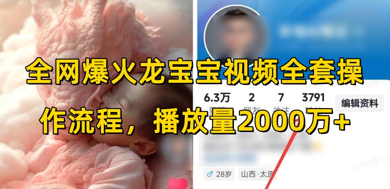 全网爆火龙宝宝视频全套操作流程,播放量2000万+-风淘社
