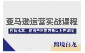 亚马逊运营实战课程,亚马逊从入门到精通,性价比高,相当于市面万元以上元课程-风淘社