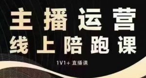 猴帝电商1600抖音课【12月】拉爆自然流,做懂流量的主播,快速掌握底层逻辑,自然流破圈攻略-风淘社