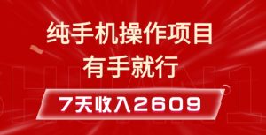 纯手机操作的小项目，有手就能做，7天收入2609+实操教程【揭秘】-风淘社