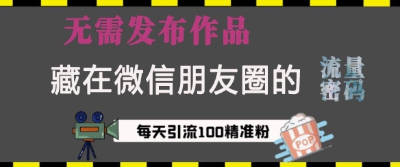 藏在微信朋友圈的流量密码，无需发布作品，单日引流100+精准创业粉【揭秘】-风淘社