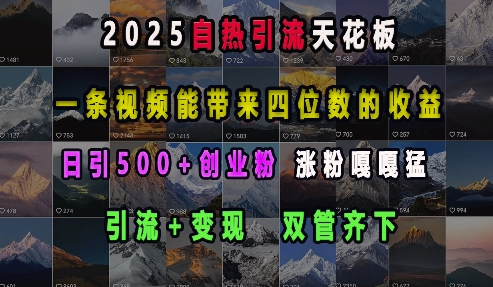 2025自热引流天花板，一条视频能带来四位数的收益，引流+变现双管齐下，日引500+创业粉，涨粉嘎嘎猛-风淘社