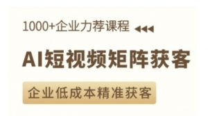 AI短视频矩阵获客实操课,企业低成本精准获客-风淘社