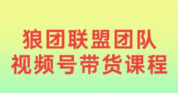 狼团联盟2024视频号带货,0基础小白快速入局视频号-风淘社