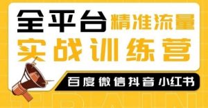 全平台精准流量实战训练营,百度微信抖音小红书SEO引流教程-风淘社