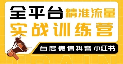 全平台精准流量实战训练营,百度微信抖音小红书SEO引流教程-风淘社