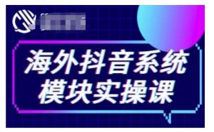 海外抖音Tiktok系统模块实操课,TK短视频带货,TK直播带货,TK小店端实操等-风淘社