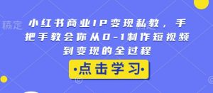 小红书商业IP变现私教,手把手教会你从0-1制作短视频到变现的全过程-风淘社