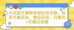 小说推文最新多种玩法详解,实况文案玩法,搬运玩法,双图片+文案玩法等-风淘社
