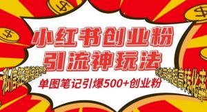 小红书创业粉引流神玩法,单图笔记引爆500+精准创业粉丝,私信狂潮接连不断-风淘社