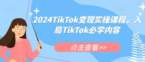 2024TikTok变现实操课程,入局TikTok必学内容-风淘社