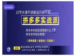 朋哥电商(拼多多实战派),15节大课不讲废话只讲干货,简单粗暴 能落地 可复制-风淘社