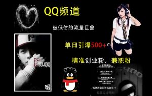 QQ频道：被低估的流量巨兽，单日引爆500+精准创业粉、兼职粉的引流秘籍-风淘社