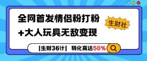 【生财36计】全网首发情侣粉打粉+大人玩具无敌变现-风淘社