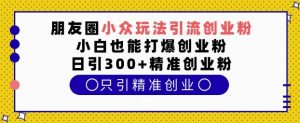 朋友圈小众玩法引流创业粉，小白也能打爆创业粉，日引300+精准创业粉【揭秘】-风淘社