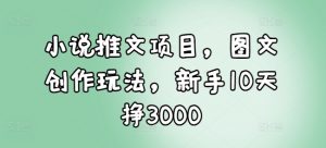 小说推文项目，图文创作玩法，新手10天挣3000-风淘社