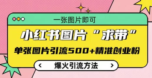 小红书图片‘求带’爆火引流法,单张图片引流500+精准创业粉【揭秘】-风淘社