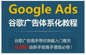 Google Ads谷歌广告体系化教程,谷歌广告高手带你突破入门难关,从0到1由新手到高手晋级必修-风淘社