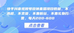 快手抖音视频号放映直播项目教程,不违规,不卖货,不靠粉丝,不靠礼物打赏,每天200-600-风淘社