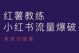红薯教练-小红书内容运营课,小红书运营学习终点站-风淘社