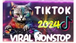 Tiktok东南亚小店运营,TK跨境小店教程让学员能快速掌握实用的运营技巧-风淘社
