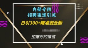 内部招聘渠道日引流300+创业粉，加爆你的微信【揭秘】-风淘社