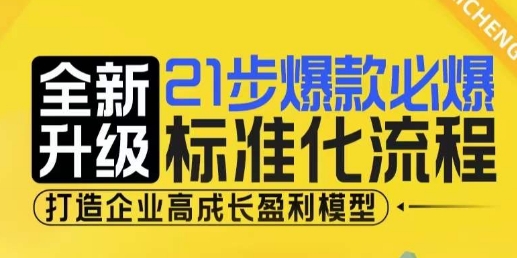 21步爆款必爆标准化流程,全新升级,打造企业高成长盈利模型-风淘社