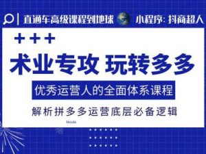 术业专攻玩转多多,优秀运营人的全面体系课程,解析拼多多运营底层必备逻辑-风淘社
