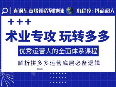 术业专攻玩转多多,优秀运营人的全面体系课程,解析拼多多运营底层必备逻辑-风淘社