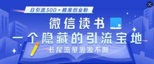 微信读书，一个隐藏的引流宝地，不为人知的小众打法，日引流300+精准创业粉，长尾流量源源不断-风淘社
