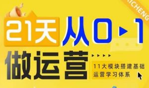 21天从0-1做运营,11大维度搭建基础运营学习体系-风淘社