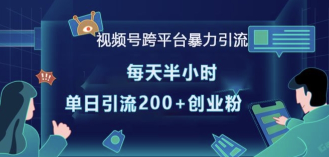 视频号跨平台暴力引流,每天半小时,单日引流200+精准创业粉-风淘社