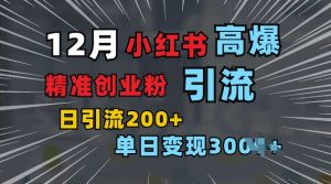 小红书一张图片“引爆”创业粉，单日+200+精准创业粉 可筛选付费意识创业粉【揭秘】-风淘社
