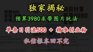 预算3980求带 图片玩法,单条日引流500+精准创业粉,私信根本回不完-风淘社