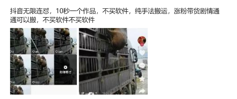 抖音无限连怼,10秒一个作品不买软件,纯手法搬运,涨粉带货剧情通通可以搬-风淘社