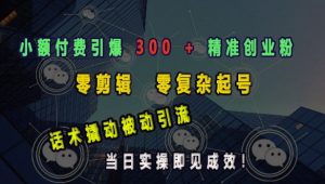 小额付费引爆 300 + 精准创业粉,零剪辑、零复杂起号,话术撬动被动引流,当日实操即见成效-风淘社