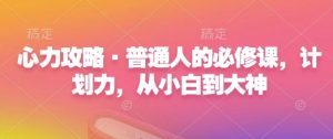 心力攻略·普通人的必修课，计划力，从小白到大神-风淘社