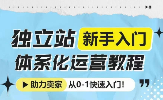独立站新手入门体系化运营教程,助力独立站卖家从0-1快速入门!-风淘社
