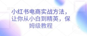 小红书电商实战方法，让你从小白到精英，保姆级教程-风淘社