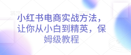 小红书电商实战方法,让你从小白到精英,保姆级教程-风淘社