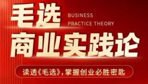 毛选商业实践论,读透《毛选》掌握创业必胜密匙-风淘社