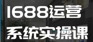 1688高阶运营系统实操课,快速掌握1688店铺运营的核心玩法-风淘社
