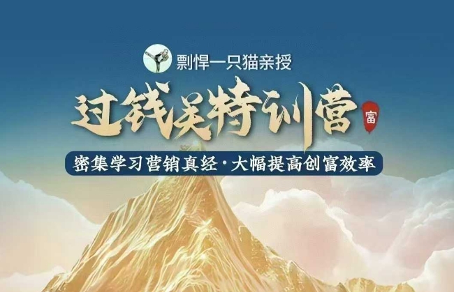 剽悍一只猫-过钱关特训营,学习营销真经 大幅度提高创富效率-风淘社