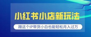 小红书小店新玩法,蹭这个IP带货,小白也能轻松月入过W【揭秘】-风淘社