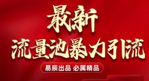 最新“流量池”无门槛暴力引流(全网首发)日引500+-风淘社