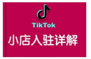 TikTok跨境小店运营全攻略,帮助你独立运营TK跨境小店的能力,实现销量增长-风淘社