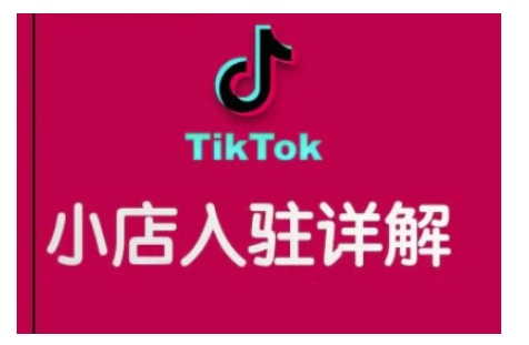 TikTok跨境小店运营全攻略,帮助你独立运营TK跨境小店的能力,实现销量增长-风淘社