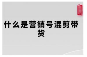 营销号混剪带货,从内容创作到流量变现的全流程,教你用营销号形式做混剪带货-风淘社