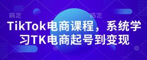 TikTok电商课程,系统学习TK电商起号到变现-风淘社